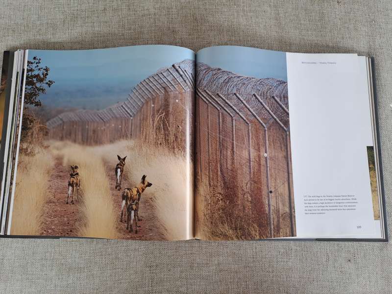 In Search of the African Wild Dog: The right to survive - Roger & Pat De La Harpe