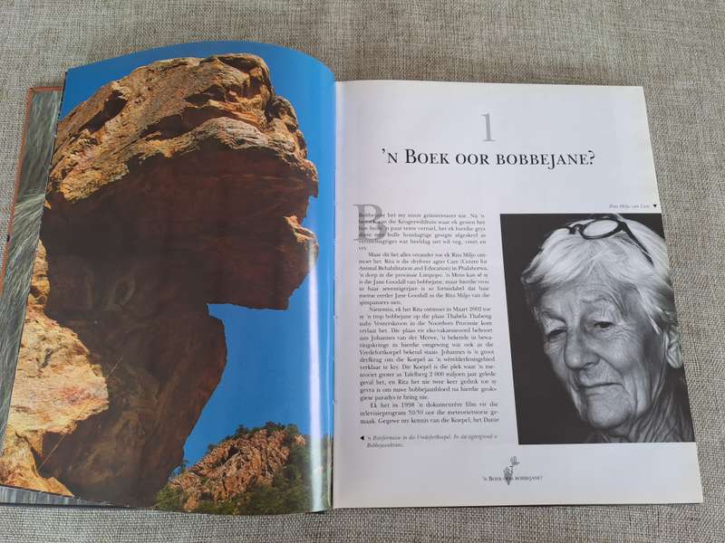 Bogom - Attie Gerber