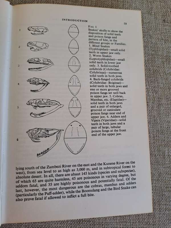 A Field Guide to the Snakes of Southern Africa - V.F.M. FitzSimons