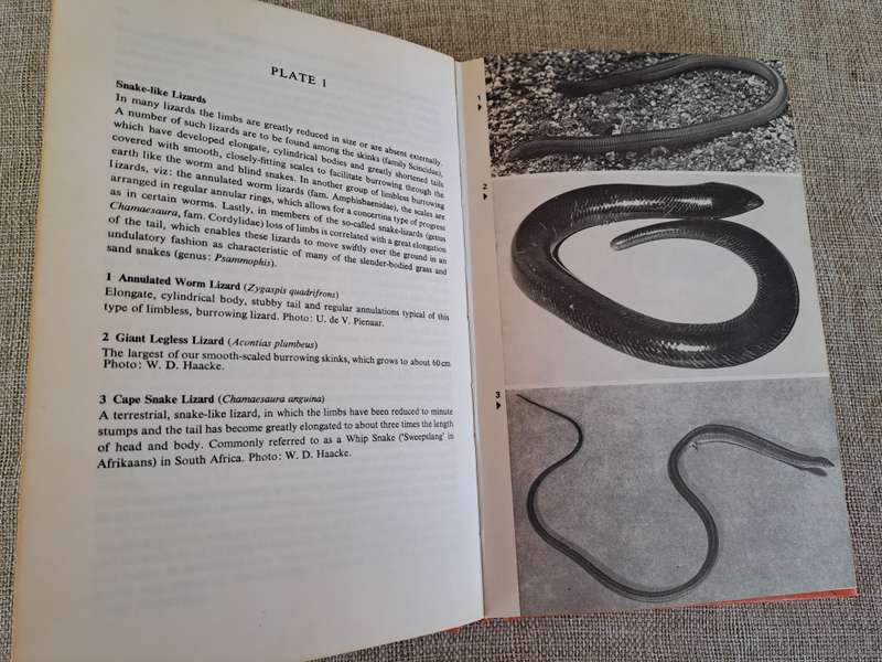 A Field Guide to the Snakes of Southern Africa - V.F.M. FitzSimons