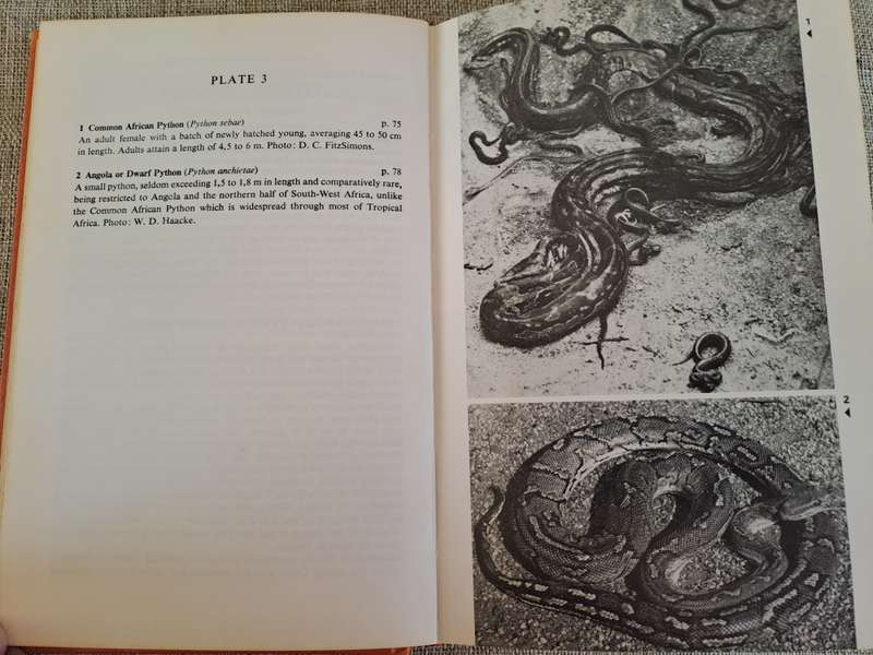 A Field Guide to the Snakes of Southern Africa - V.F.M. FitzSimons