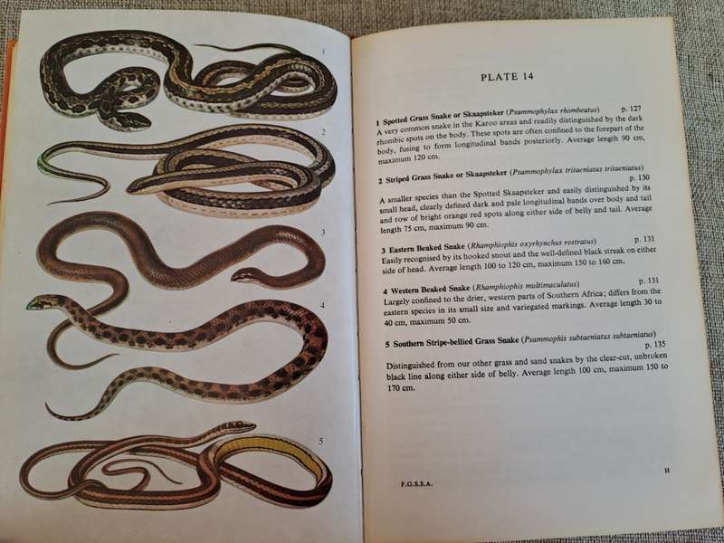 A Field Guide to the Snakes of Southern Africa - V.F.M. FitzSimons