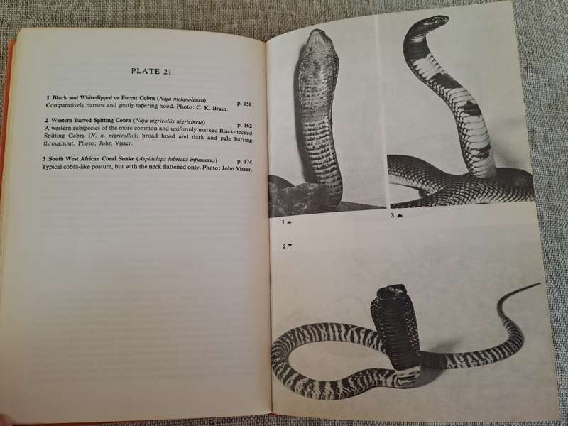 A Field Guide to the Snakes of Southern Africa - V.F.M. FitzSimons