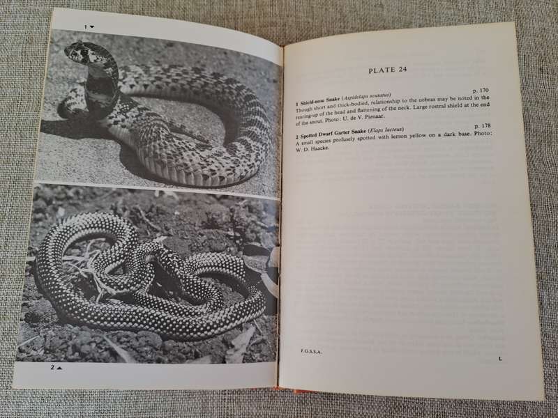 A Field Guide to the Snakes of Southern Africa - V.F.M. FitzSimons