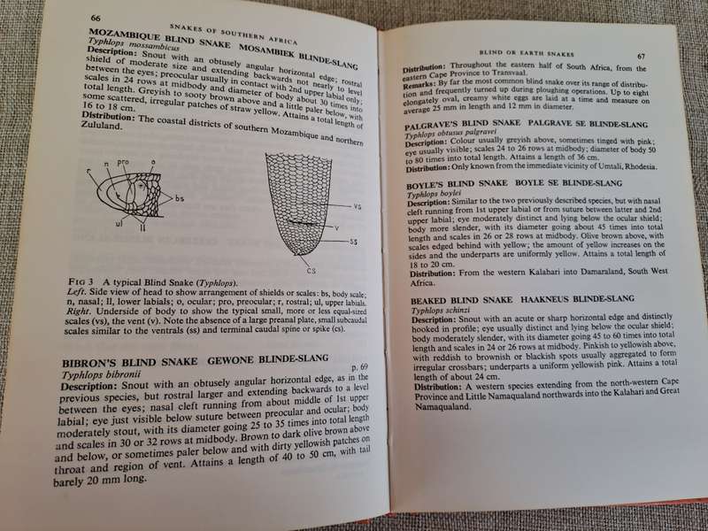 A Field Guide to the Snakes of Southern Africa - V.F.M. FitzSimons