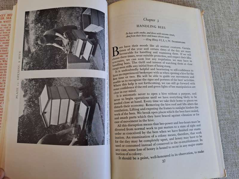 Honey Bees & their Management - Stanley B. Whitehead