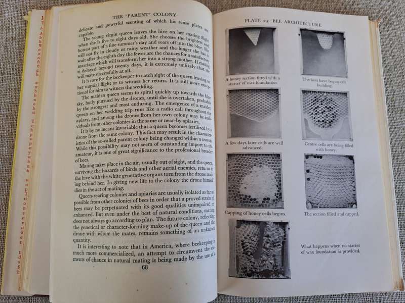 Honey Bees & their Management - Stanley B. Whitehead