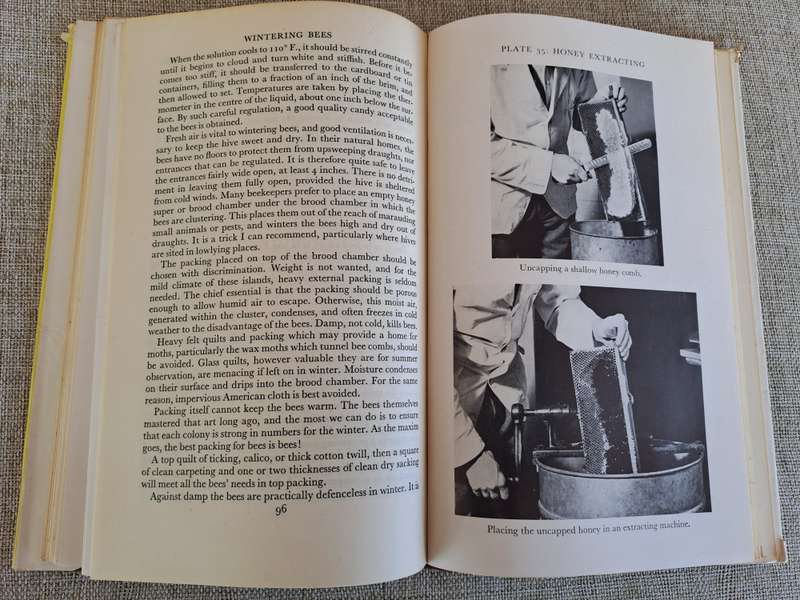 Honey Bees & their Management - Stanley B. Whitehead