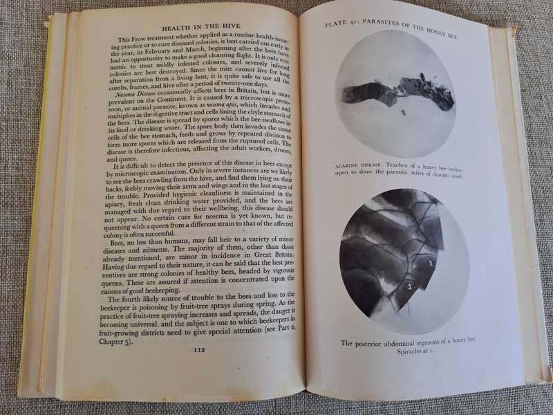 Honey Bees & their Management - Stanley B. Whitehead