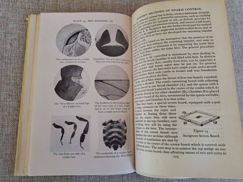 Honey Bees & their Management - Stanley B. Whitehead