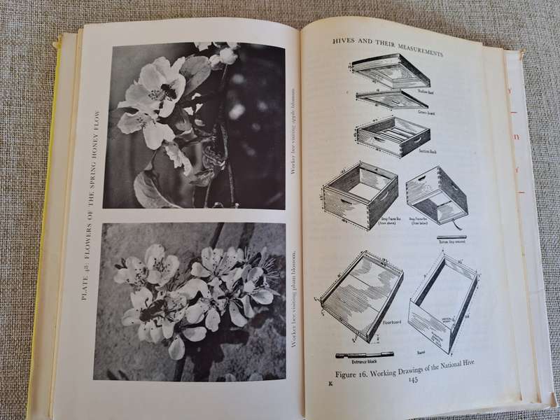 Honey Bees & their Management - Stanley B. Whitehead