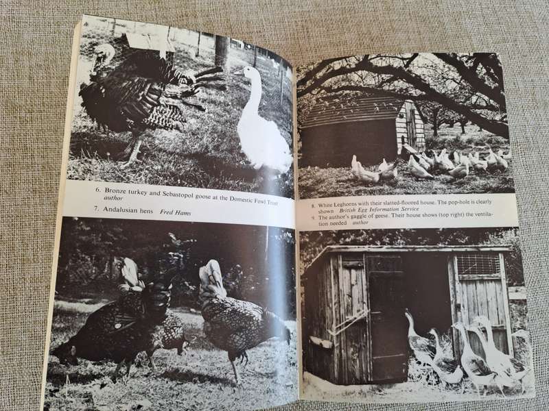 Small-Scale Poultry K eeping - Ray Feltwell