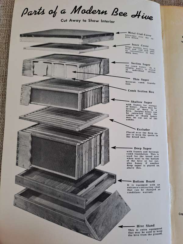 Starting Right With Bees  A Beginners Handbook on Beekeeping