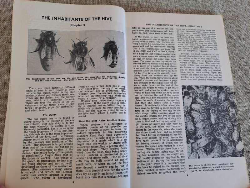 Starting Right With Bees  A Beginners Handbook on Beekeeping
