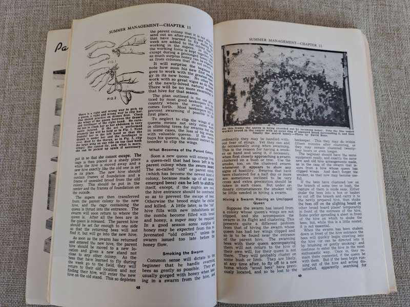 Starting Right With Bees  A Beginners Handbook on Beekeeping