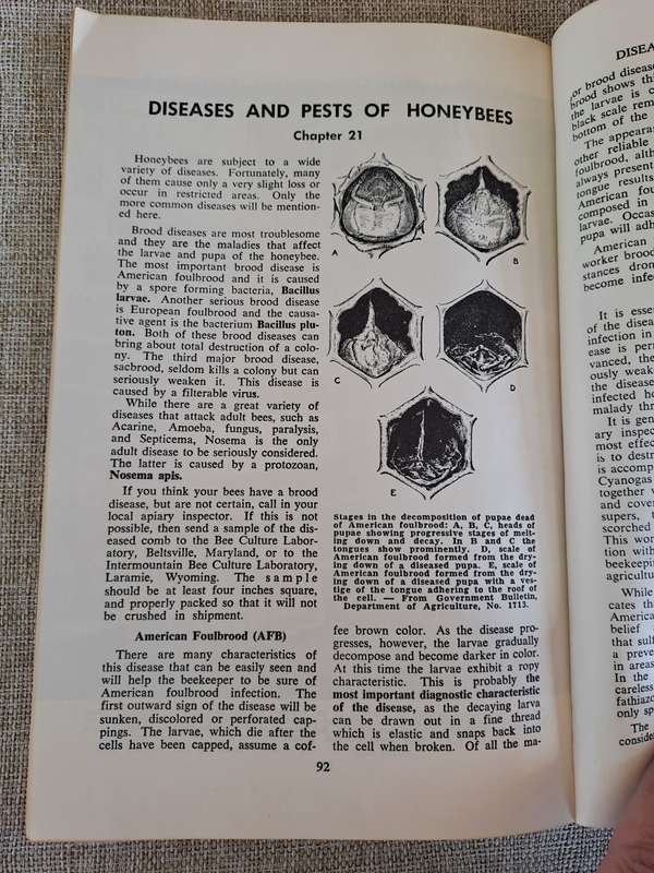 Starting Right With Bees  A Beginners Handbook on Beekeeping