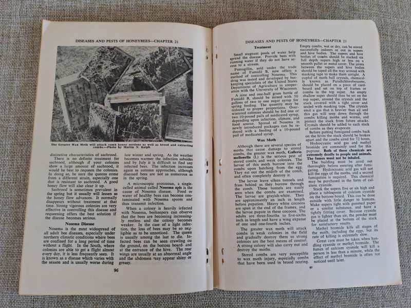 Starting Right With Bees  A Beginners Handbook on Beekeeping