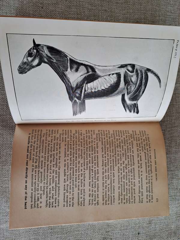 Animal Management 1933