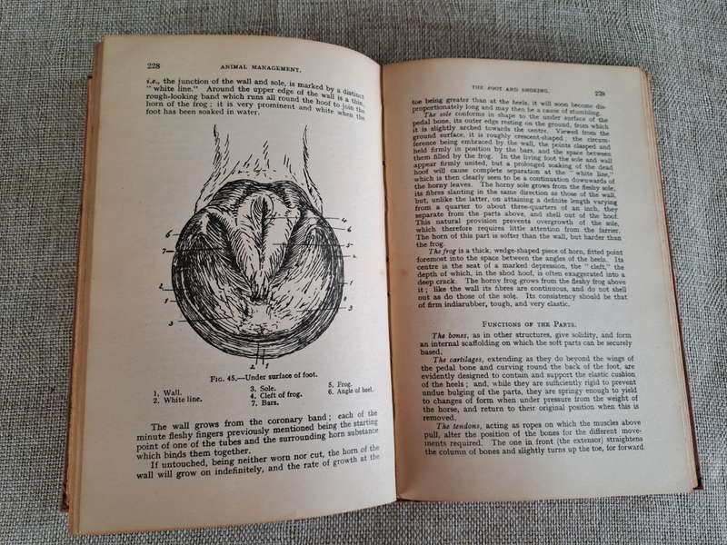 Animal Management 1933