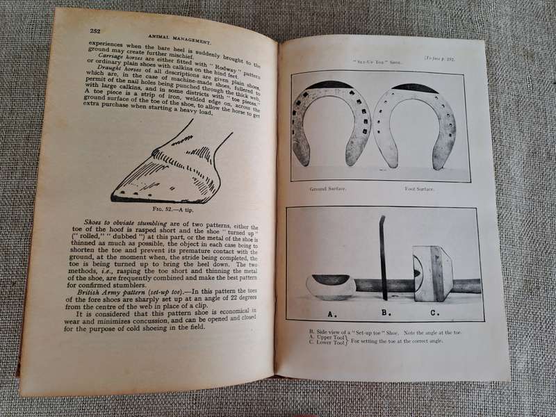 Animal Management 1933