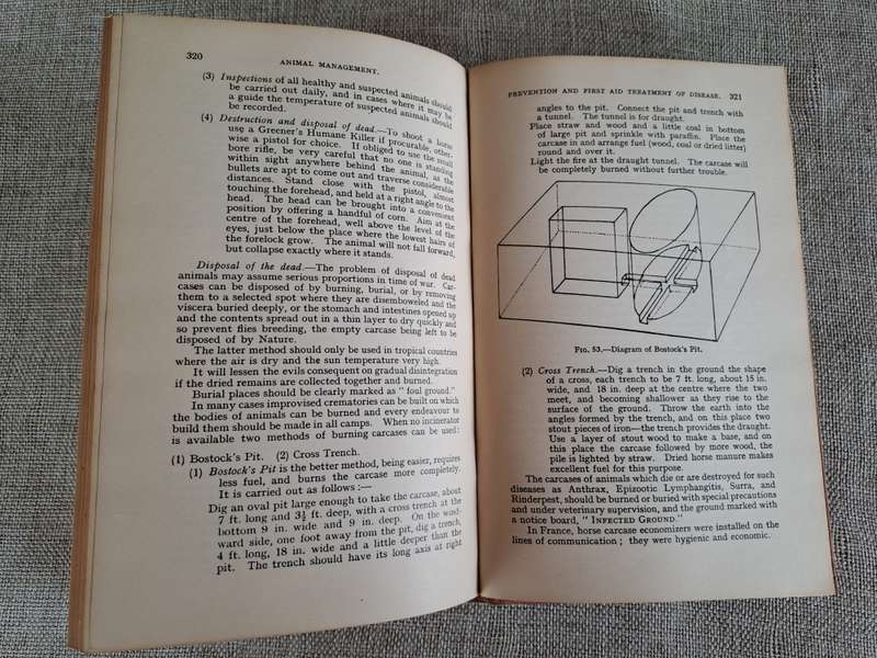 Animal Management 1933