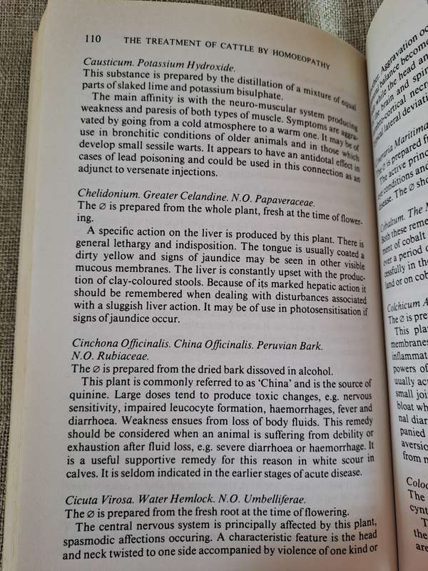 The Treatment of Cattle by Homoeopathy - George MacLeod
