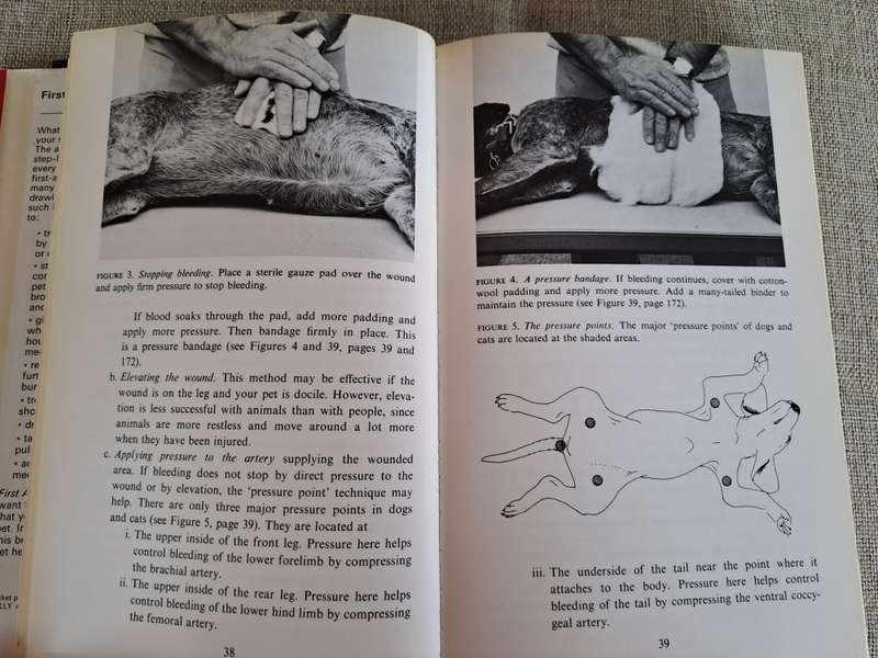 First Aid for Pets - Robert W. Kirk