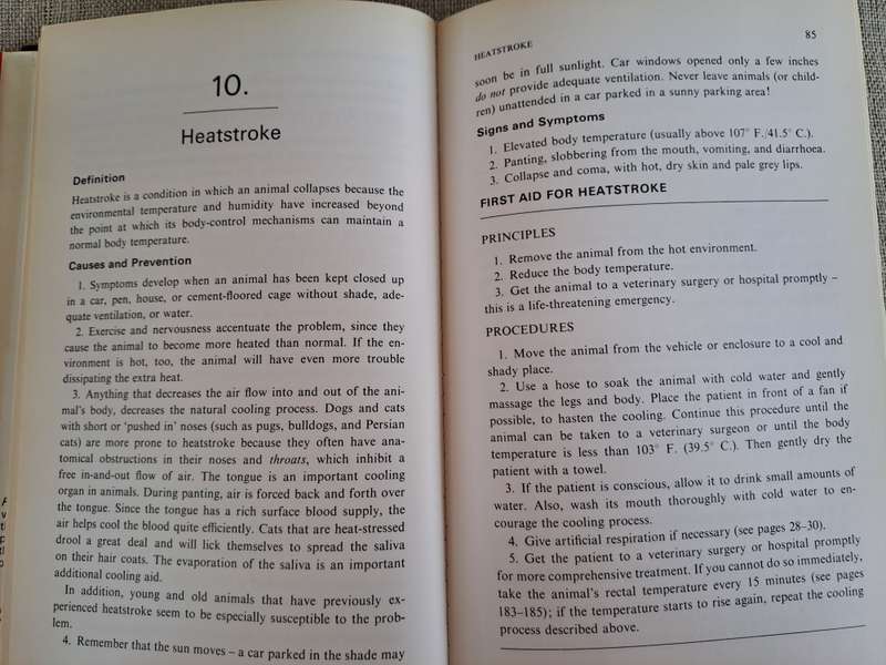 First Aid for Pets - Robert W. Kirk