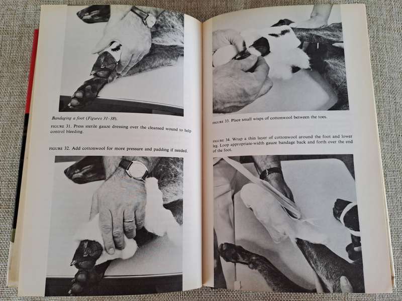 First Aid for Pets - Robert W. Kirk