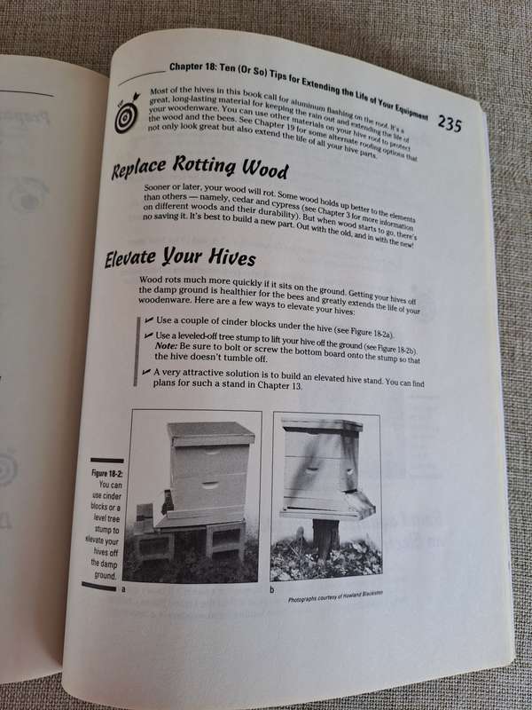 Building Beehives for Dummies - Howland Blackiston