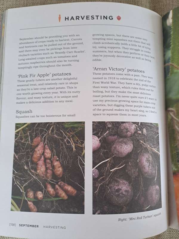 Veg Street: Grow Your Own Community - Naomi Schillimger