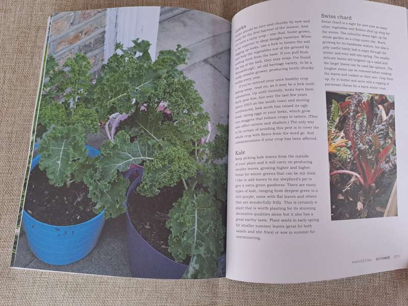 Veg Street: Grow Your Own Community - Naomi Schillimger