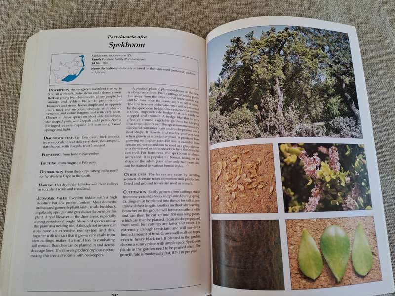 Making the most of Indigenous Trees - Fanie & Julye-Ann Venter