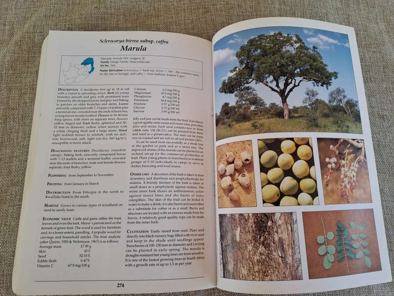 Making the most of Indigenous Trees - Fanie & Julye-Ann Venter
