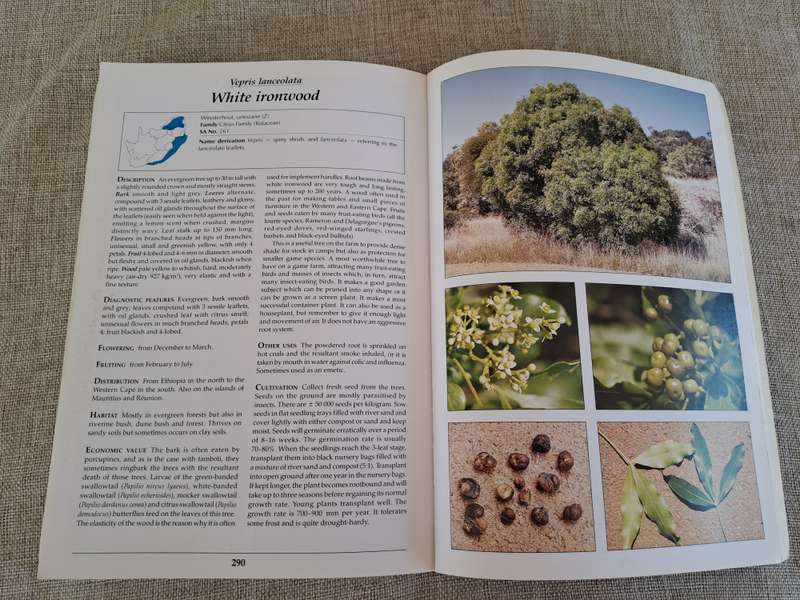 Making the most of Indigenous Trees - Fanie & Julye-Ann Venter