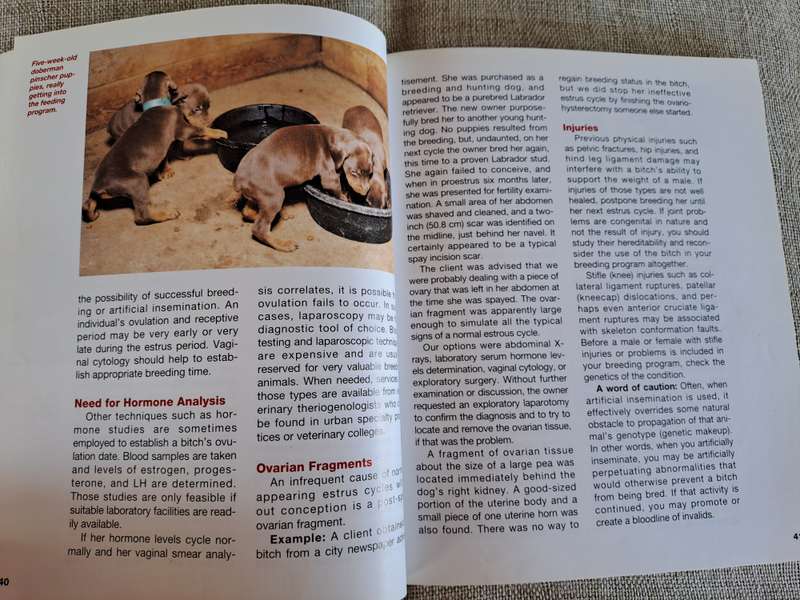 The Complete Book of Dog Breeding - Dan Rice