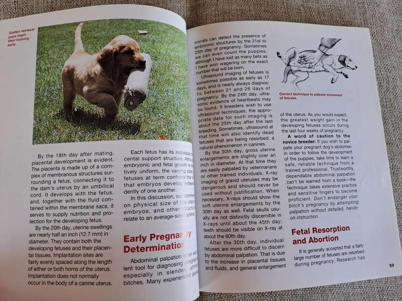The Complete Book of Dog Breeding - Dan Rice