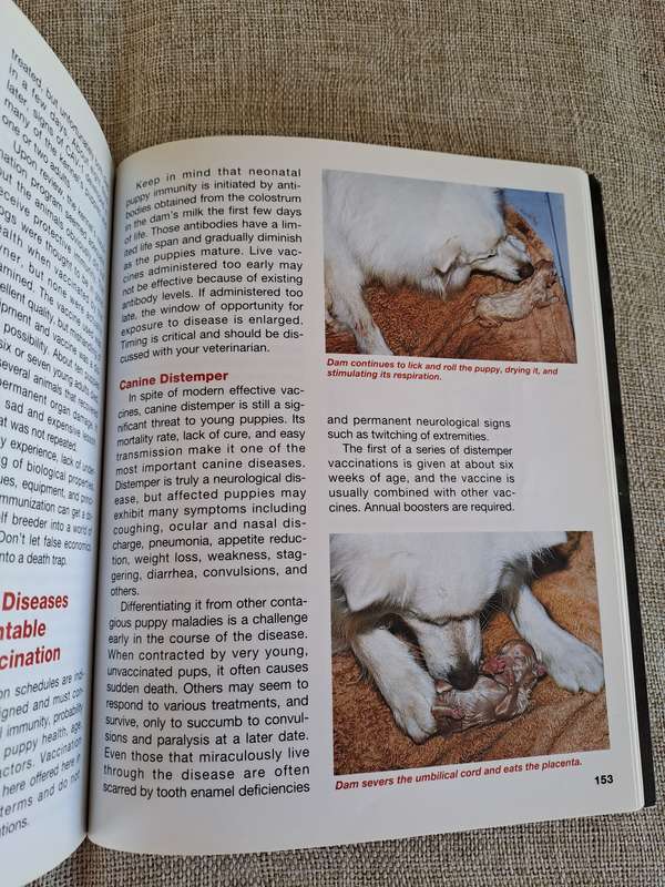 The Complete Book of Dog Breeding - Dan Rice