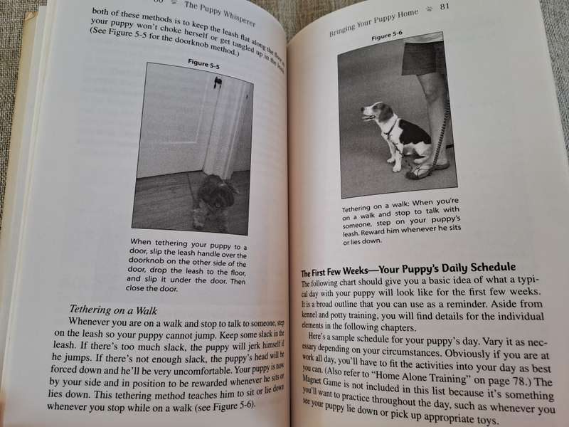 The Puppy Whisperer - Paul Owens & Terence Cranendonk, with Norma Eckroate