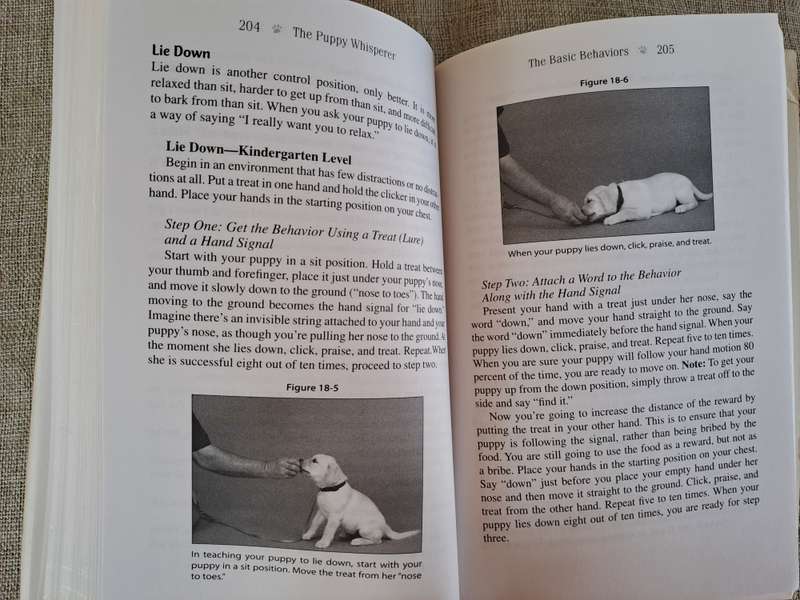 The Puppy Whisperer - Paul Owens & Terence Cranendonk, with Norma Eckroate