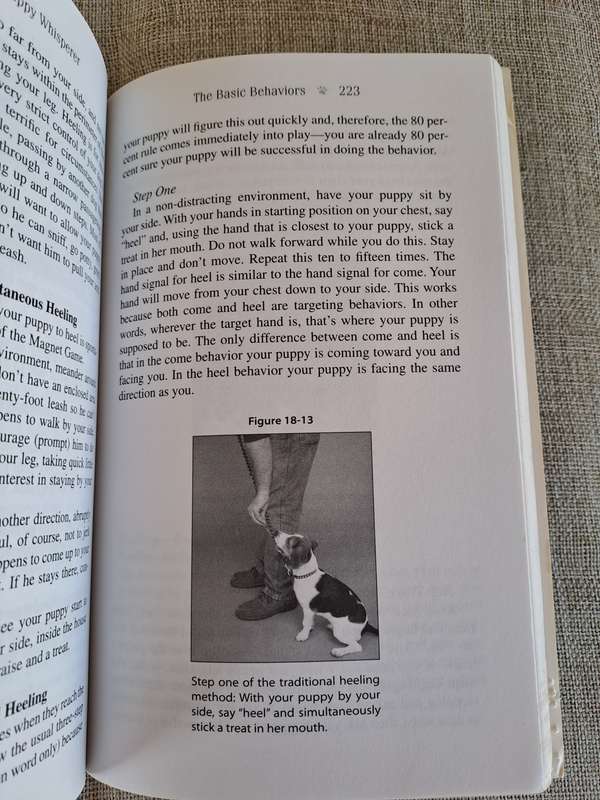 The Puppy Whisperer - Paul Owens & Terence Cranendonk, with Norma Eckroate