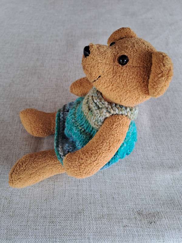 Brown Bear in Knitted Dress