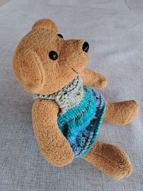 Brown Bear in Knitted Dress