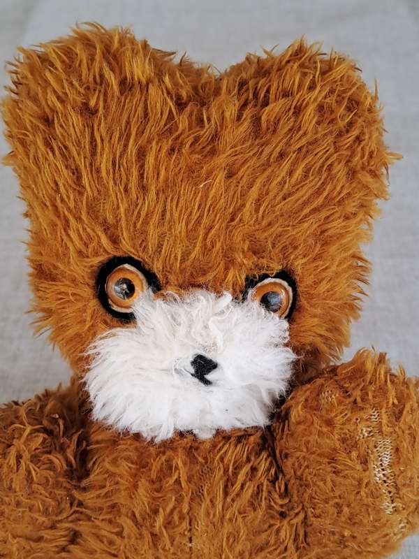 Brown and White Bear Vintage