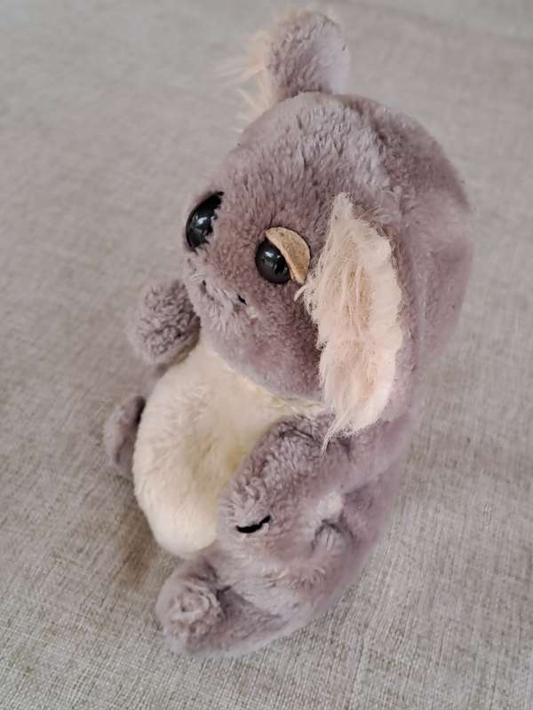 Koala Bear R. Dakin & Co. 1979
