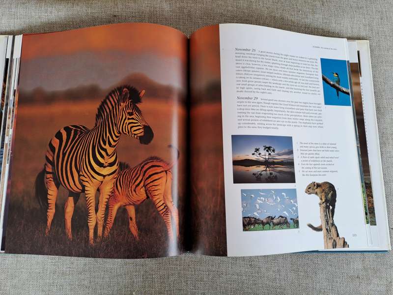 Chobe: Africas Untamed Wilderness - Daryl & Sharna Balfour