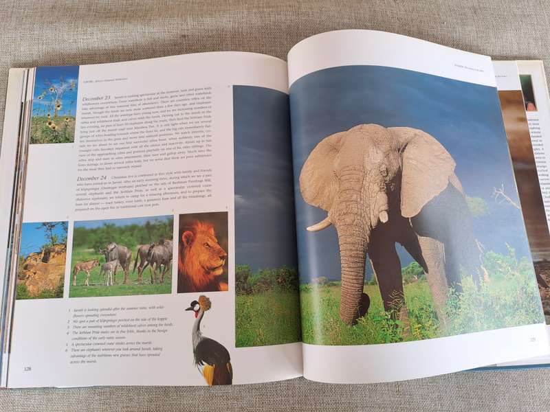 Chobe: Africas Untamed Wilderness - Daryl & Sharna Balfour