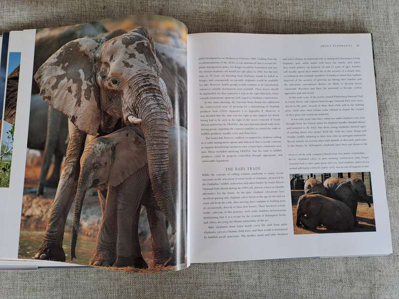 African Elephants: A Celebration of Majesty - Daryl & Sharna Balfour