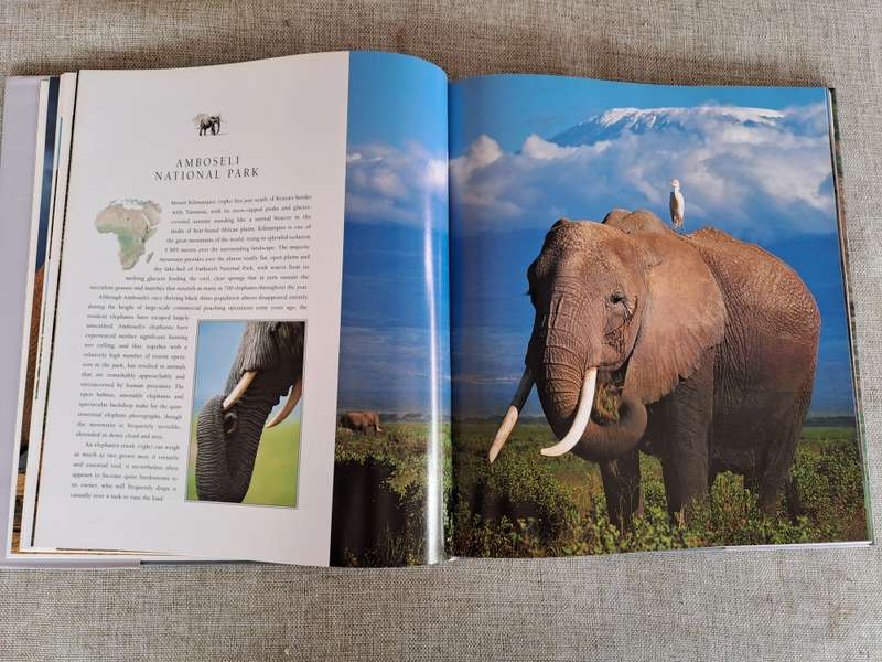 African Elephants: A Celebration of Majesty - Daryl & Sharna Balfour