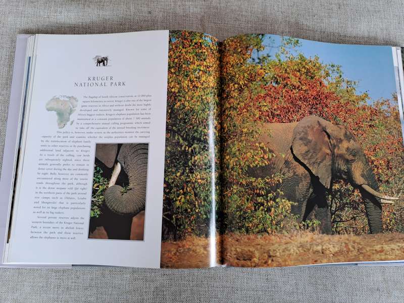 African Elephants: A Celebration of Majesty - Daryl & Sharna Balfour